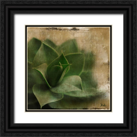 Succulent II Black Ornate Wood Framed Art Print with Double Matting by Pinto, Patricia