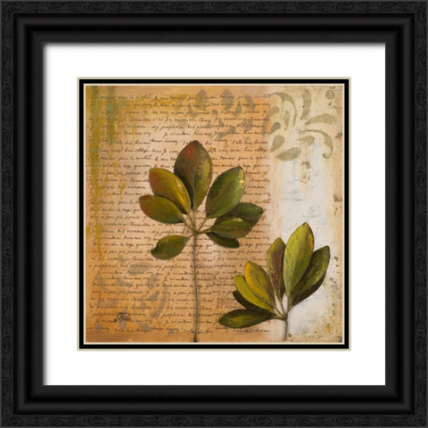 Botanica II Black Ornate Wood Framed Art Print with Double Matting by Pinto, Patricia