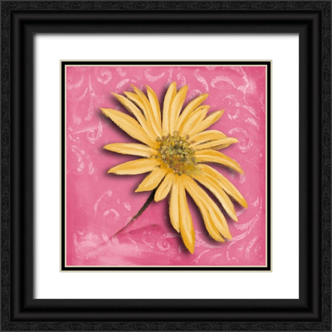 Blooming Daisy II Black Ornate Wood Framed Art Print with Double Matting by Pinto, Patricia