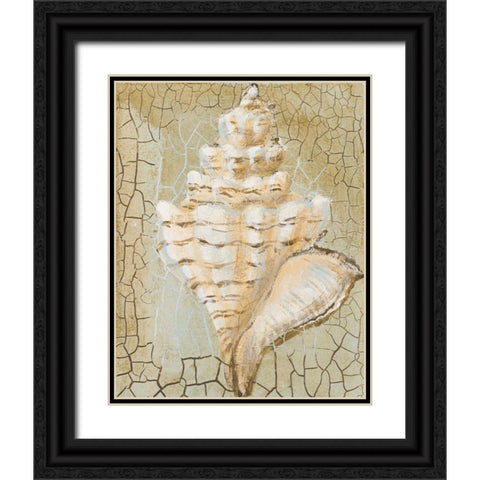 Seashell I Black Ornate Wood Framed Art Print with Double Matting by Hakimipour-Ritter