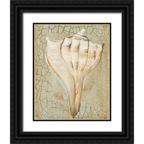 Seashell II Black Ornate Wood Framed Art Print with Double Matting by Hakimipour-Ritter