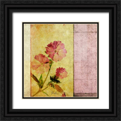 Vintage Diary Square II Black Ornate Wood Framed Art Print with Double Matting by Pinto, Patricia