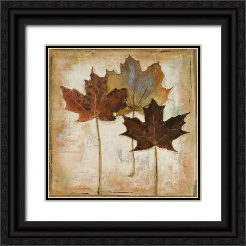 Natural Leaves III Black Ornate Wood Framed Art Print with Double Matting by Pinto, Patricia