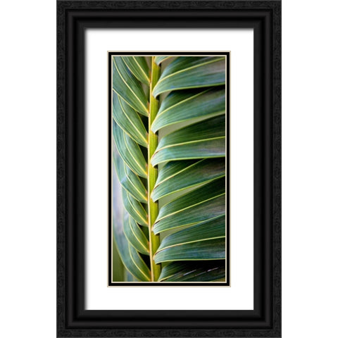 Palma I Black Ornate Wood Framed Art Print with Double Matting by Bryant, Susan