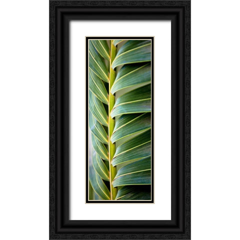 Palma I Black Ornate Wood Framed Art Print with Double Matting by Bryant, Susan