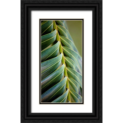 Palma II Black Ornate Wood Framed Art Print with Double Matting by Bryant, Susan