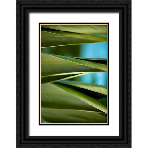 Palma III Black Ornate Wood Framed Art Print with Double Matting by Bryant, Susan