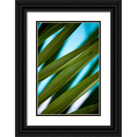 Palma IV Black Ornate Wood Framed Art Print with Double Matting by Bryant, Susan