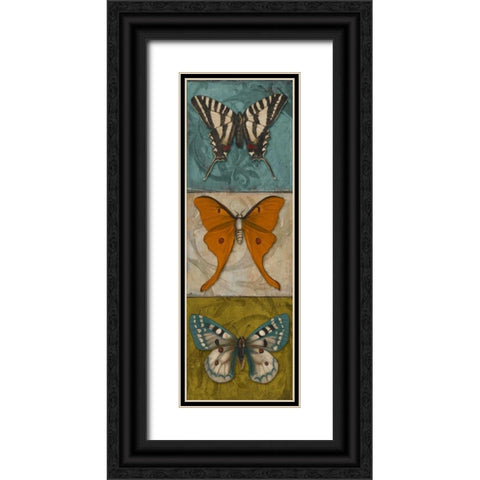 Blue Wings I Black Ornate Wood Framed Art Print with Double Matting by Pinto, Patricia