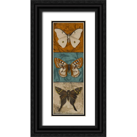 Blue Wings II Black Ornate Wood Framed Art Print with Double Matting by Pinto, Patricia