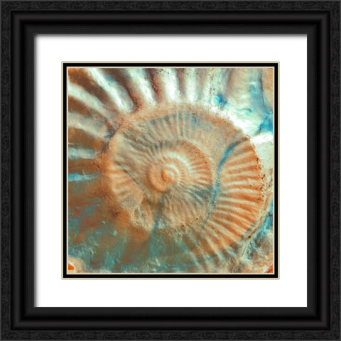 Nautique I Black Ornate Wood Framed Art Print with Double Matting by Rodriguez, Jairo
