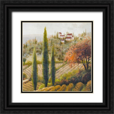 Tuscany Vineyard II Black Ornate Wood Framed Art Print with Double Matting by Marcon, Michael
