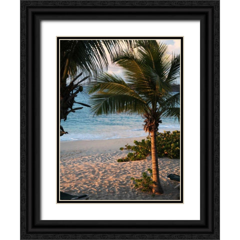 Sunset Palms II Black Ornate Wood Framed Art Print with Double Matting by Bryant, Susan