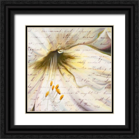 Lily Script II Black Ornate Wood Framed Art Print with Double Matting by Pinto, Patricia