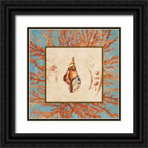 Coral Medley Shell IV Black Ornate Wood Framed Art Print with Double Matting by Loreth, Lanie