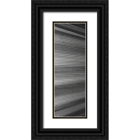 Threads II Black Ornate Wood Framed Art Print with Double Matting by Rodriguez, Jairo