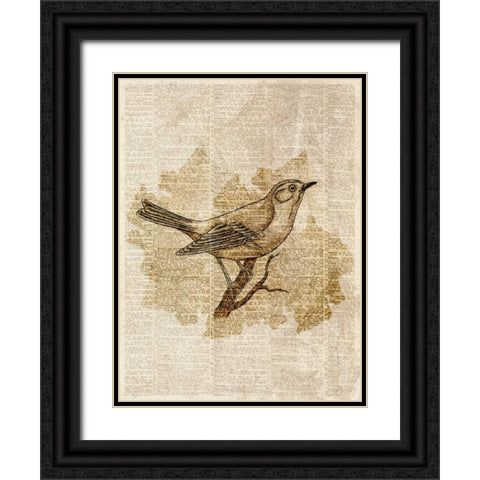 Vintage Bird II Black Ornate Wood Framed Art Print with Double Matting by Studio, Sd Graphics
