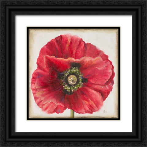 Red Poppy Black Ornate Wood Framed Art Print with Double Matting by Pinto, Patricia