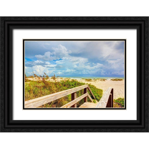 Beach Island I Black Ornate Wood Framed Art Print with Double Matting by Bonnett, Stede