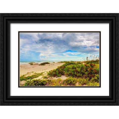 Beach Island II Black Ornate Wood Framed Art Print with Double Matting by Bonnett, Stede