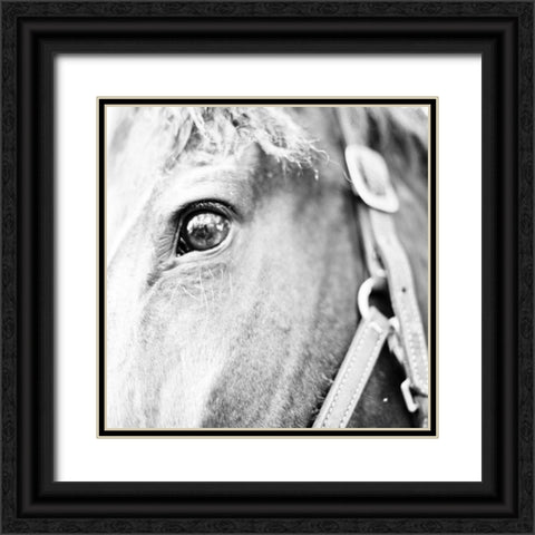 In the Stable I Black Ornate Wood Framed Art Print with Double Matting by Bryant, Susan