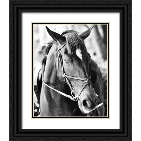 Derby I Black Ornate Wood Framed Art Print with Double Matting by Bryant, Susan