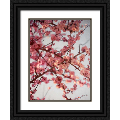 Cherry Blossoms I Black Ornate Wood Framed Art Print with Double Matting by Bryant, Susan