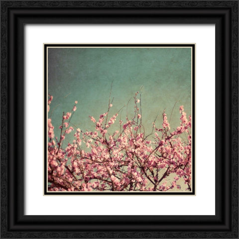Springtime II Black Ornate Wood Framed Art Print with Double Matting by Bryant, Susan