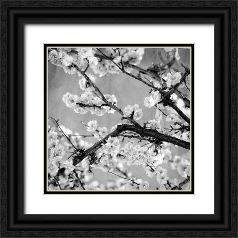 Black and White Blossoms II Black Ornate Wood Framed Art Print with Double Matting by Bryant, Susan