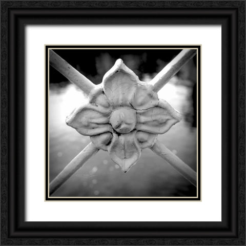 Over the Lake I Black Ornate Wood Framed Art Print with Double Matting by Rodriguez, Jairo