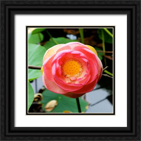 Red Lotus I Black Ornate Wood Framed Art Print with Double Matting by Rodriguez, Jairo