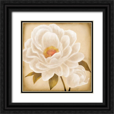 White Peonies I Black Ornate Wood Framed Art Print with Double Matting by Rhyan, Vivien