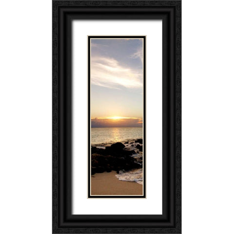 Bimini Afternoon I Black Ornate Wood Framed Art Print with Double Matting by Bryant, Susan