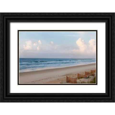 Beach Day Black Ornate Wood Framed Art Print with Double Matting by Mansfield, Kathy
