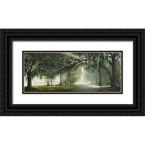 Lake Shore Drive Black Ornate Wood Framed Art Print with Double Matting by Nawrocke, Bruce