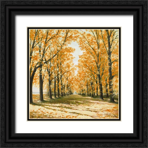 Falls Cathedral Black Ornate Wood Framed Art Print with Double Matting by Nawrocke, Bruce