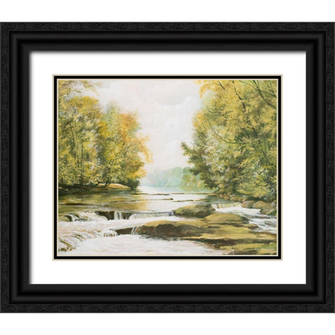 Firemens Park Black Ornate Wood Framed Art Print with Double Matting by Nawrocke, Bruce