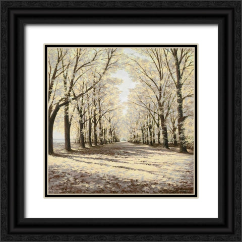 Falls Cathedral Black Ornate Wood Framed Art Print with Double Matting by Nawrocke, Bruce