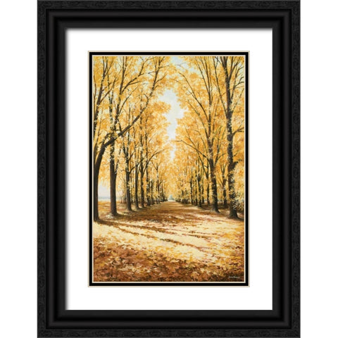 Falls Cathedral Black Ornate Wood Framed Art Print with Double Matting by Nawrocke, Bruce