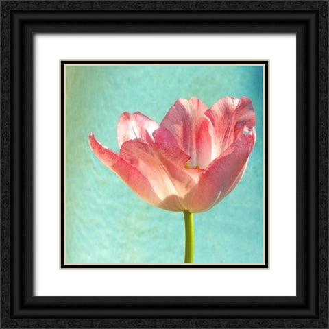 Pink Tulip Black Ornate Wood Framed Art Print with Double Matting by Peck, Gail