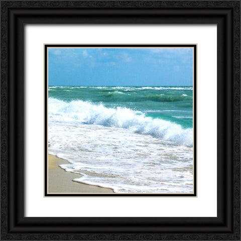 Teal Surf I Black Ornate Wood Framed Art Print with Double Matting by Biscardi, Nicholas