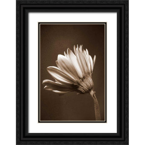 Sepia Flower II Black Ornate Wood Framed Art Print with Double Matting by Peck, Gail