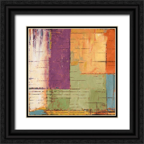 The Cage I Black Ornate Wood Framed Art Print with Double Matting by Pinto, Patricia