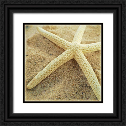 Starfish Black Ornate Wood Framed Art Print with Double Matting by Saghini, Lisa Hill