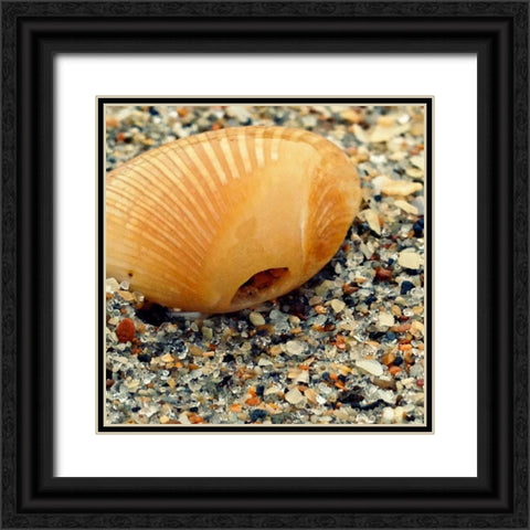 Sea Glass I Black Ornate Wood Framed Art Print with Double Matting by Saghini, Lisa Hill