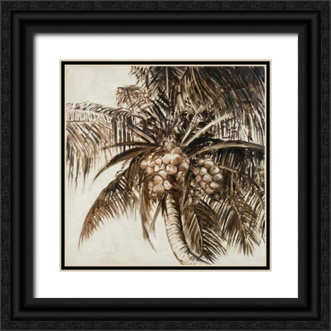 Coconut Palm I Black Ornate Wood Framed Art Print with Double Matting by Pinto, Patricia