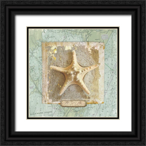 Seashore Collection III Black Ornate Wood Framed Art Print with Double Matting by Medley, Elizabeth