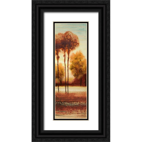 Vibrant Land II Black Ornate Wood Framed Art Print with Double Matting by Marcon, Michael