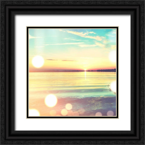 Ocean Breeze II Black Ornate Wood Framed Art Print with Double Matting by Acosta, Juliana