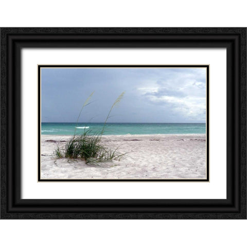 Shoreline Black Ornate Wood Framed Art Print with Double Matting by Peck, Gail